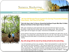 Natures Marketing website